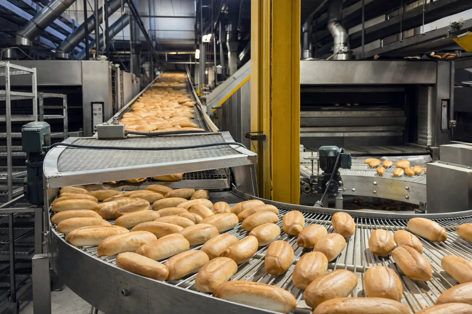 Stainless steel conveyors for the Food Industry